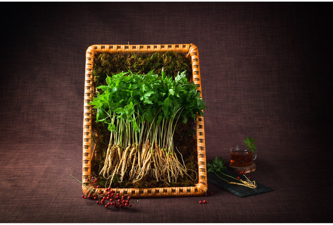 장성 문영철농부 새싹삼 새싹인삼, 30개, 상