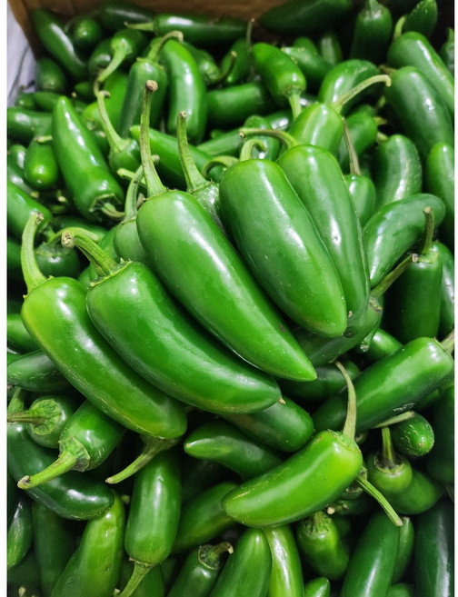 가락시장 직송 단단한 생 퍼펙트 할라피뇨 고추 1kg