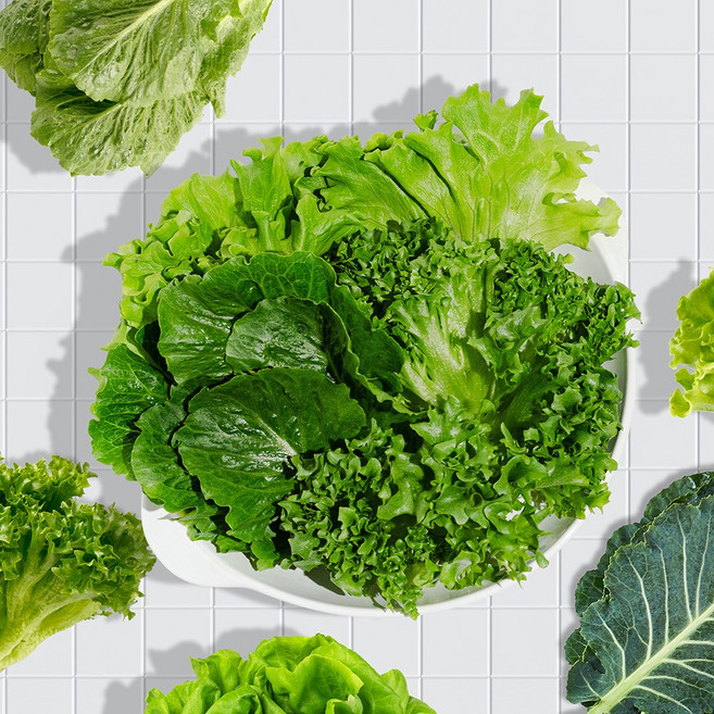 GAP인증 유러피안 샐러드 5종 모둠 1kg, 없음, 1개