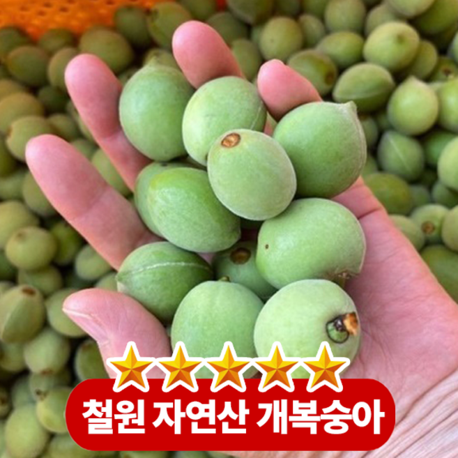 청이나 효소용으로 활용도 높은 개복숭아 까투리복숭아, 1박스, 개복숭아(까투리복숭) 10kg