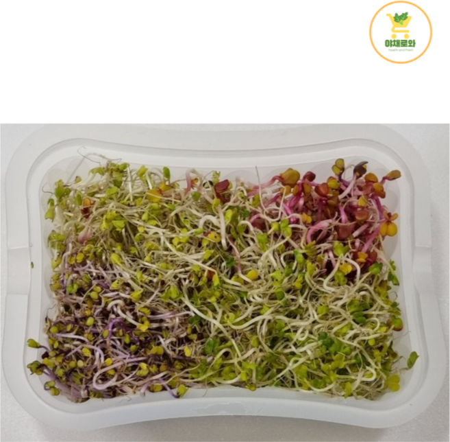 모듬새싹(50g), 1개
