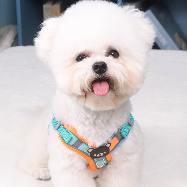 튼튼하고 편한 곰돌이 하네스 견인줄 세트구성 파워버클, 1개, 민트오렌지