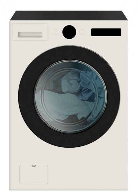 LG 트롬 오브제컬렉션 세탁기 FX25EAR 25kg 방문설치