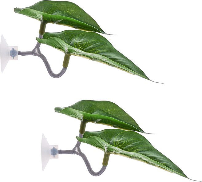 레몽크리프 몬스테라 극락조 베타침대, 2개