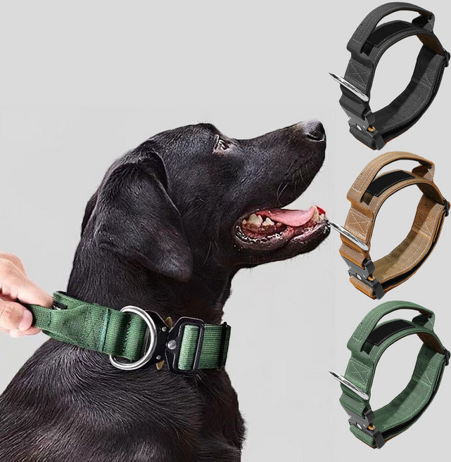 허그펫 대형견 강아지 금속버클 조절 목줄, 그린, 1개
