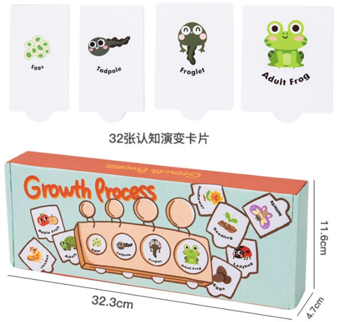 木製蒙氏幾何手抓板磁性拼圖玩具 幼兒園教具形狀嵌板認知配對, 1個, 成長演變認知配對（彩盒微凹）商品完整