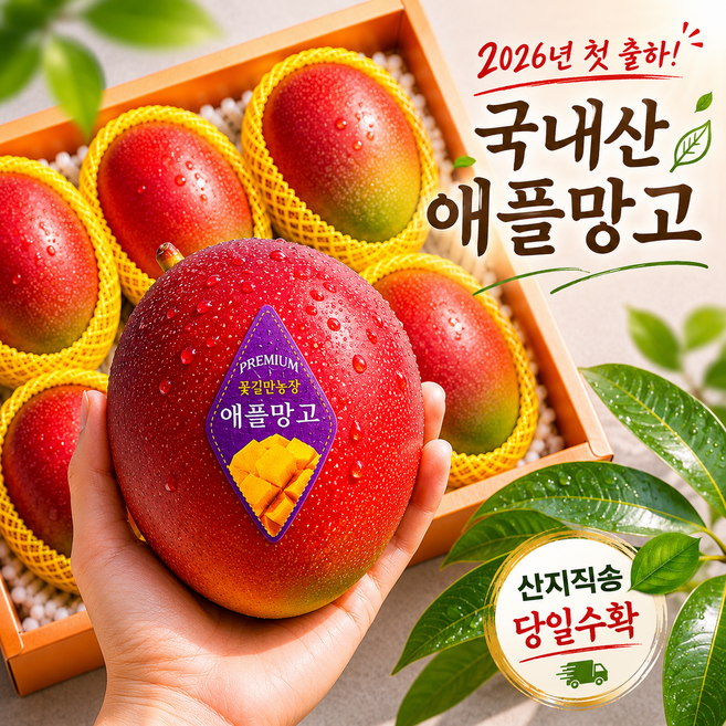 4위 - [신라호텔납품] 100%국내산 하이엔드 애플망고 선물세트, 1박스, 700g