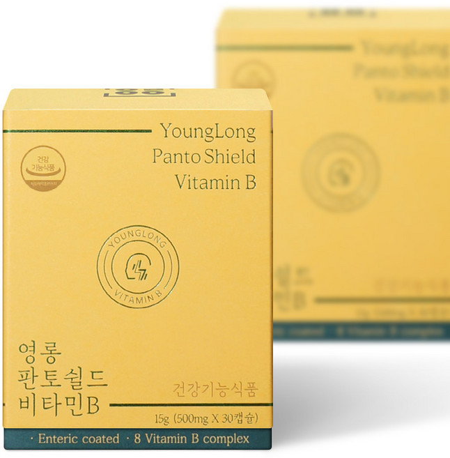 영롱 판토쉴드 비타민B, 2개, 60정