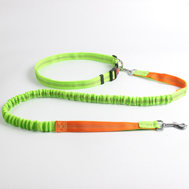 파스텔펫 핸즈프리 허리밴드 반려동물 리드줄세트, F타입, 1개