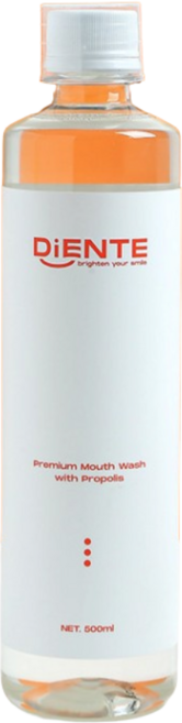 디엔테 프로폴리스 약산성 가글 구강청결제 입냄새 구취제거제 500ml, 2개