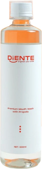 디엔테 프로폴리스 약산성 가글 구강청결제 입냄새 구취제거제 500ml, 2개 - 쿠팡