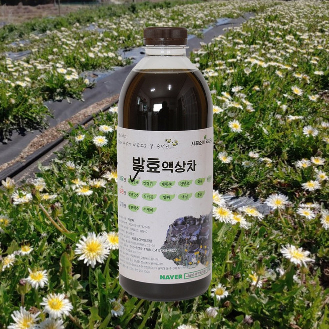 자연미가 흰민들레 효소액 1000mlx1병 /ss 자연숙성 발효액100%, 1000ml x1병, 1개