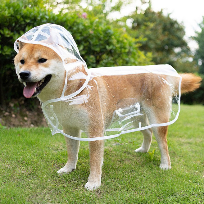 寵物四腳防水服 泰迪狗狗雨衣 柴犬 中小型犬大型犬金毛防暴雨全身透明雨披, 1個, 白色邊透明雨衣 【收藏送玩具】,S-胸圍31-37cm（建議2-3斤）