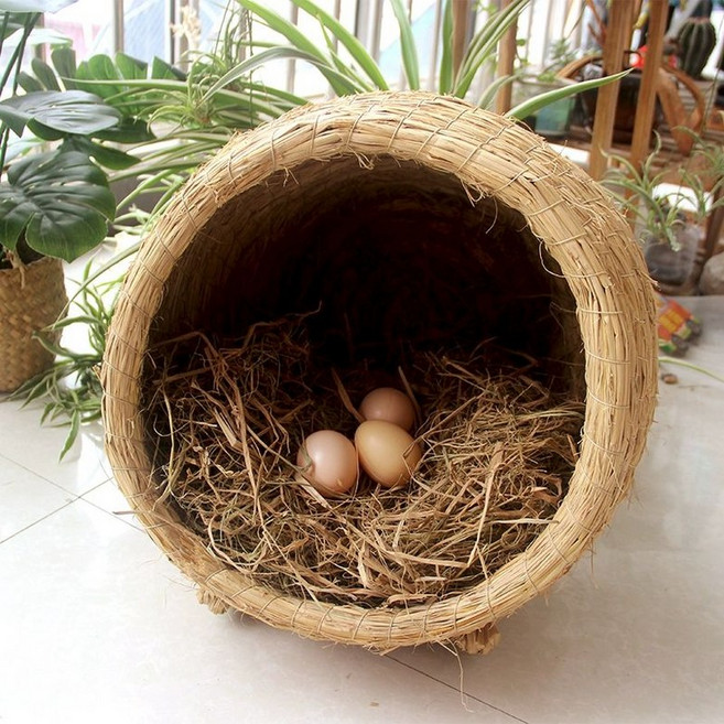 산란통 닭 대형 둥지 알집 밀짚 산란장 이동식, 1개, 중형 닭장 30 35 풀포함 × 1개