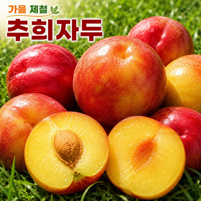 9위 - 산지직송 가을 제철 고당도 추희자두, 1박스, 1kg (왕특)