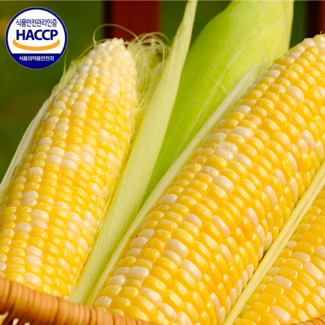 특품 강원도 손질 초당옥수수, 10개, (특품) 초당옥수수