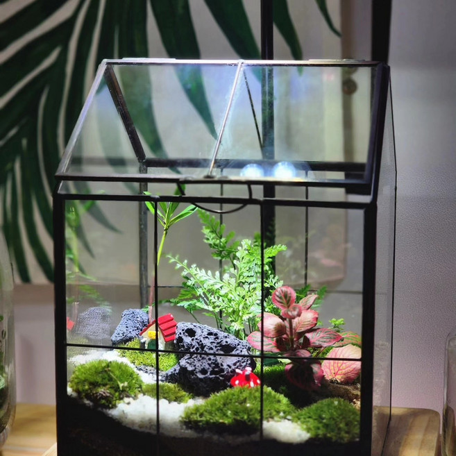 [블루맨바움] 테라리움 이끼테라리움 식물선물 가드닝 홈가드닝 식물심기 정원생활 terrarium 유리정원 부산원데이클래스 부산식물배송 부산꽃집 해운대꽃집 해운대꽃배달, 1개
