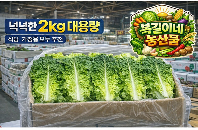 [복길이네농산물] 국내산 상추 2kg 청상추 1박스