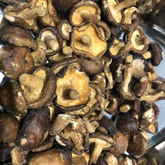 香菇粒餅乾 蔬果餅乾, 1個, 芥末香菇170克