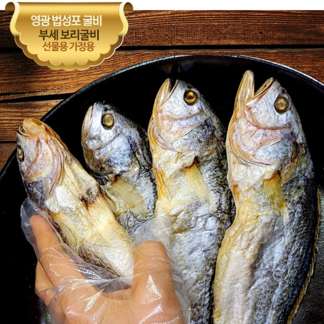 삼부자 영광 법성포 보리굴비 10미, 1박스, 31cm내외