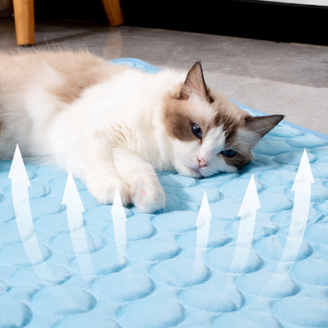 APOIO 애견 아이스 쿨매트 통세탁 냉감패드, 블루