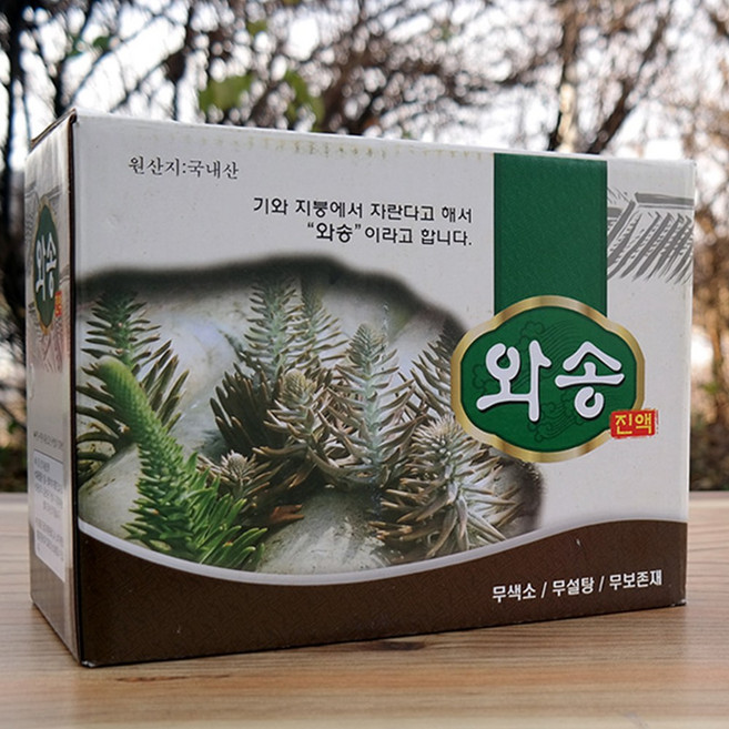 와송즙 1박스(100ml x 60p) 와송즙국내산 와송효능 와송즙100%, 1박스