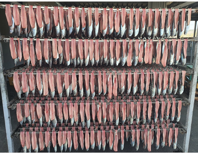 동해 해풍건조 포항 구룡포 영덕 반손질과메기(껍질있음) 청어20마리(1k300g내외)/꽁치20마리(800g이상) 과메기, 1개, 꽁치반손질20미