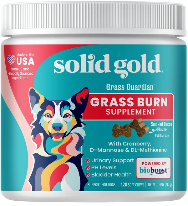 헁복하고 건강하세요 Solid Gold Grass Guardian™ 목초 연소 보충제 반려견용 훈제 베이컨 소프트츄 120개 216g(7.6oz) 늘 챙기셔야합니다, SolidGoldGrassGuardian목초연소보충제반 - 쿠팡