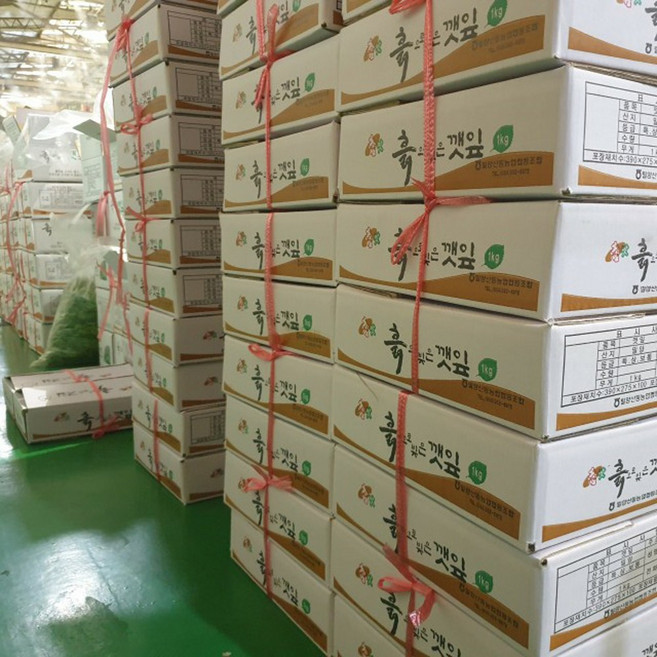 클릭마켓 국내산 가죽나물 참죽 가죽 나무 순 참죽나물, 1개, 1kg