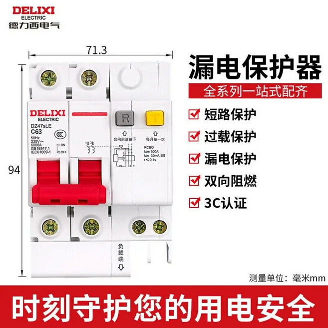 DELIXI 德力西 空氣開關 漏電保護器 小型斷路器 2P 63A 家用, 1塊, 2p63A漏电断路器1块