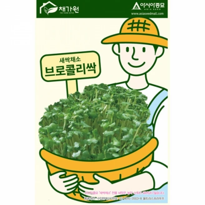 아시아종묘 씨앗 새싹 브로콜리싹 30g, 3개 - 쿠팡