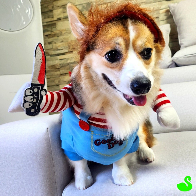 GS 처키강아지옷 강아지코스튬옷 M 반려견옷 애견옷