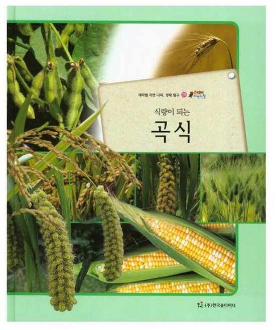 올빼미 자연관찰 29 식량이 되는 곡식 (식물), 한국슈타이너