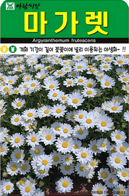 [주주씨앗] 하얀 마가렛 씨앗 200립 / 개화가 긴 야생화 꽃씨 씨앗몰, 1개