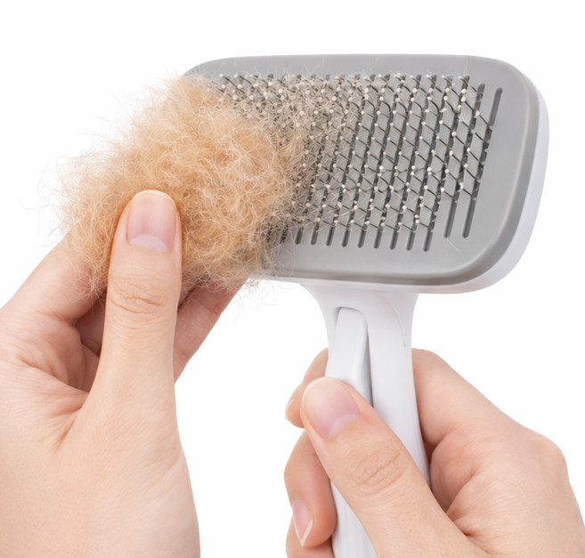 페이퍼랩 원터치 부드러운 케어 반려동물 브러쉬, 1개, 그레이