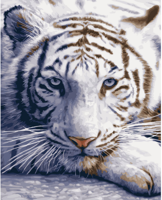 대형 명화 그리기 DIY 60X75cm 유화 캔버스 세트 거실 인테리어 그림 150종, E.동물, E015.백호, 1개, E015.백호