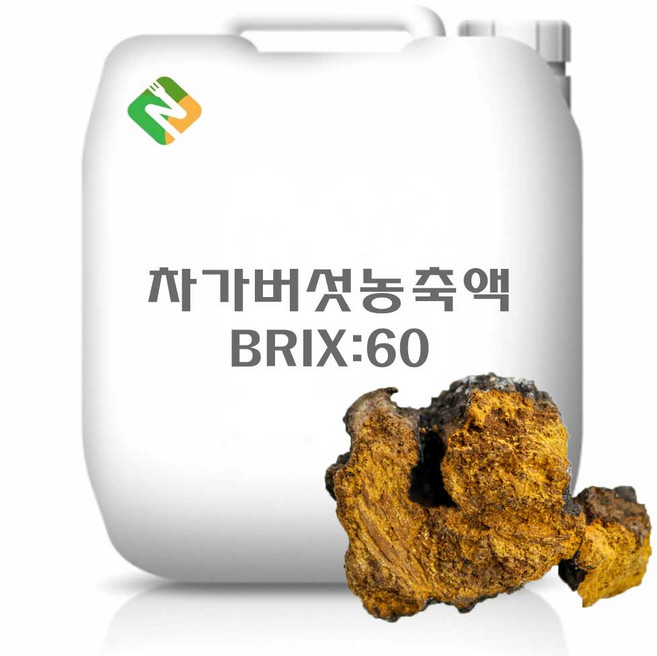 차가버섯농축액 60Brix 200g 샘플, 1, 1개