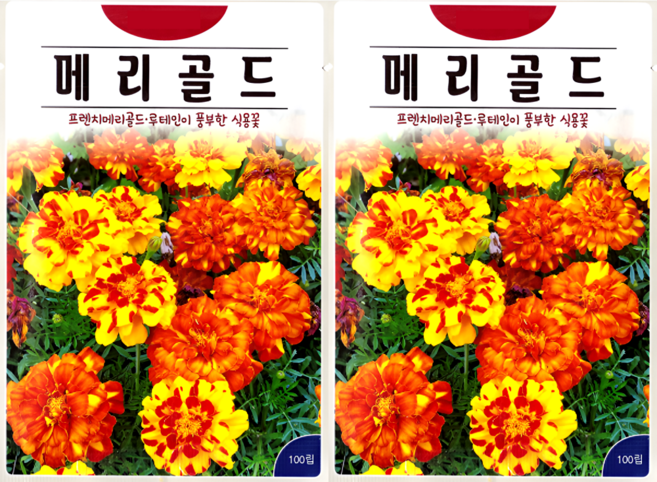 KS종묘 메리골드 100립 루테인 홀꽃 식용꽃 일년생 꽃씨 씨앗 종자, 2개