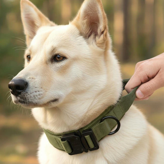 더트롱 핸들 대형견 중형견 버클 목줄, 1개, 카키