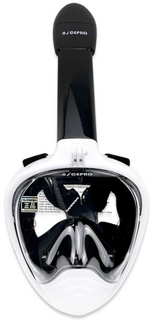 나이스프로 풀페이스 스노쿨링 마스크, 블랙+화이트