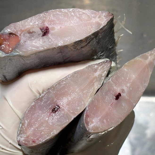 대왕 냉동 갈치, 2개, 500g