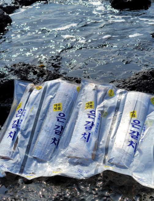 제주 생물 은갈치100%왕왕특대 2마리, 제주생물은갈치100%2마리