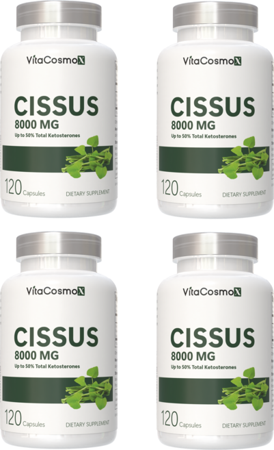 VitaCosmoX 시서스 추출물 Cissus 고함량 고농축 8000mg 케토스테론 50% 시서스 캡슐 시서스 가루 분말, 4개, 120정