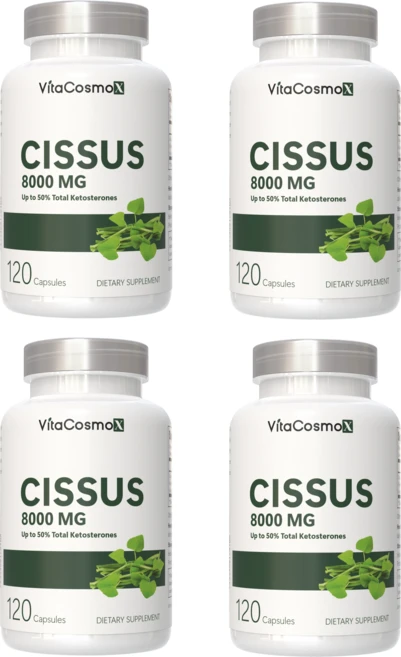 VitaCosmoX 시서스 추출물 Cissus 고함량 고농축 8000mg 케토스테론 50% 시서스 캡슐 시서스 가루 분말, 4개, 120정 - 쿠팡