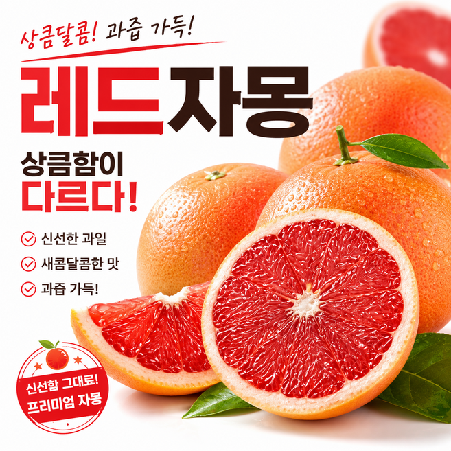 레드자몽 남아공산 고당도 자몽 대과 특품, 1박스, 3.5kg 대과(개당 320g내외)