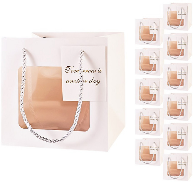 빛공 바닥넓은 정사각 투명창 윈도우 쇼핑백, 12개, 화이트