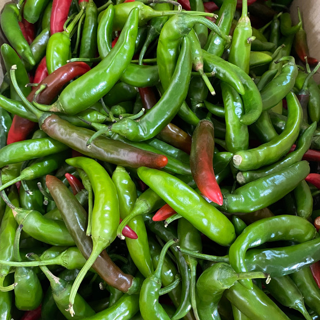 안동농산 국내산 못난이 청양고추 땡초, 1박스, 3kg