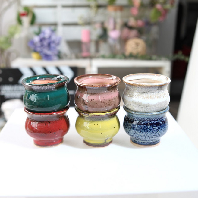 인아트스튜디오 색동이 미니 화분 콩분 다육이 잎꽂이 인테리어 사무실 책상, 6종 세트, 1개