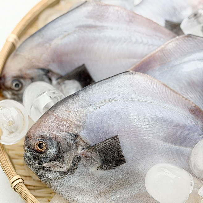 통수산 국내산 손질 병어 칼칼한 병어조림 강추!, 1개, 급냉손질병어500g이상(3-5미내외)