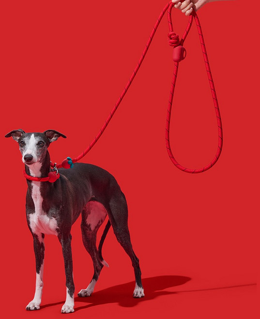 VETRESKA 커넥트 핸즈프리 로프 리드줄 (8COLORS), 1개, 커피